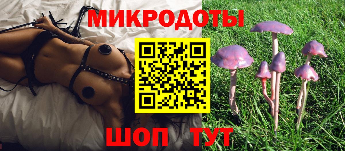 Люберцы  Галлюциногенные грибы Psilocybe  Вход с VPN 