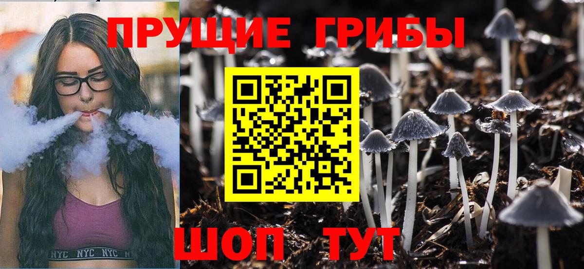 Галлюциногенные грибы Psilocybe Люберцы